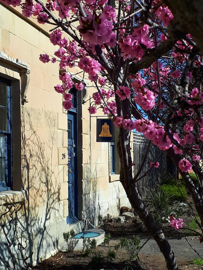 Blue Bell Inn Sorell Экстерьер фото