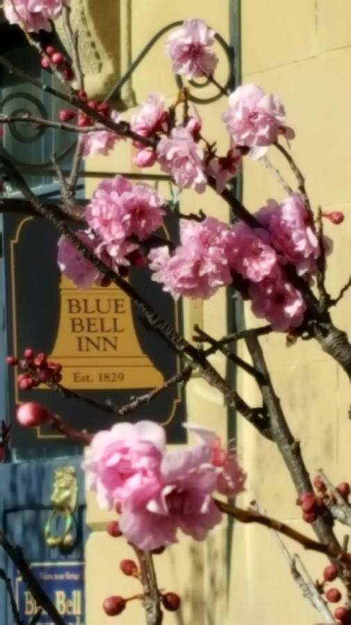 Blue Bell Inn Sorell Экстерьер фото